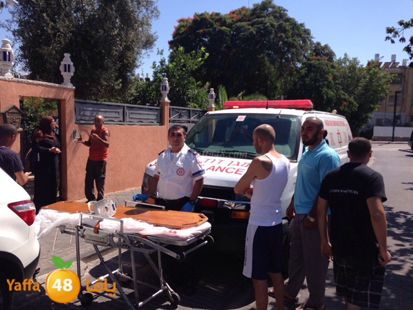 fallen from above (2).JPG